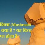 छत्रक शिला (Mushroom Rocks) क्या है ? यह किस स्थान पर होता है